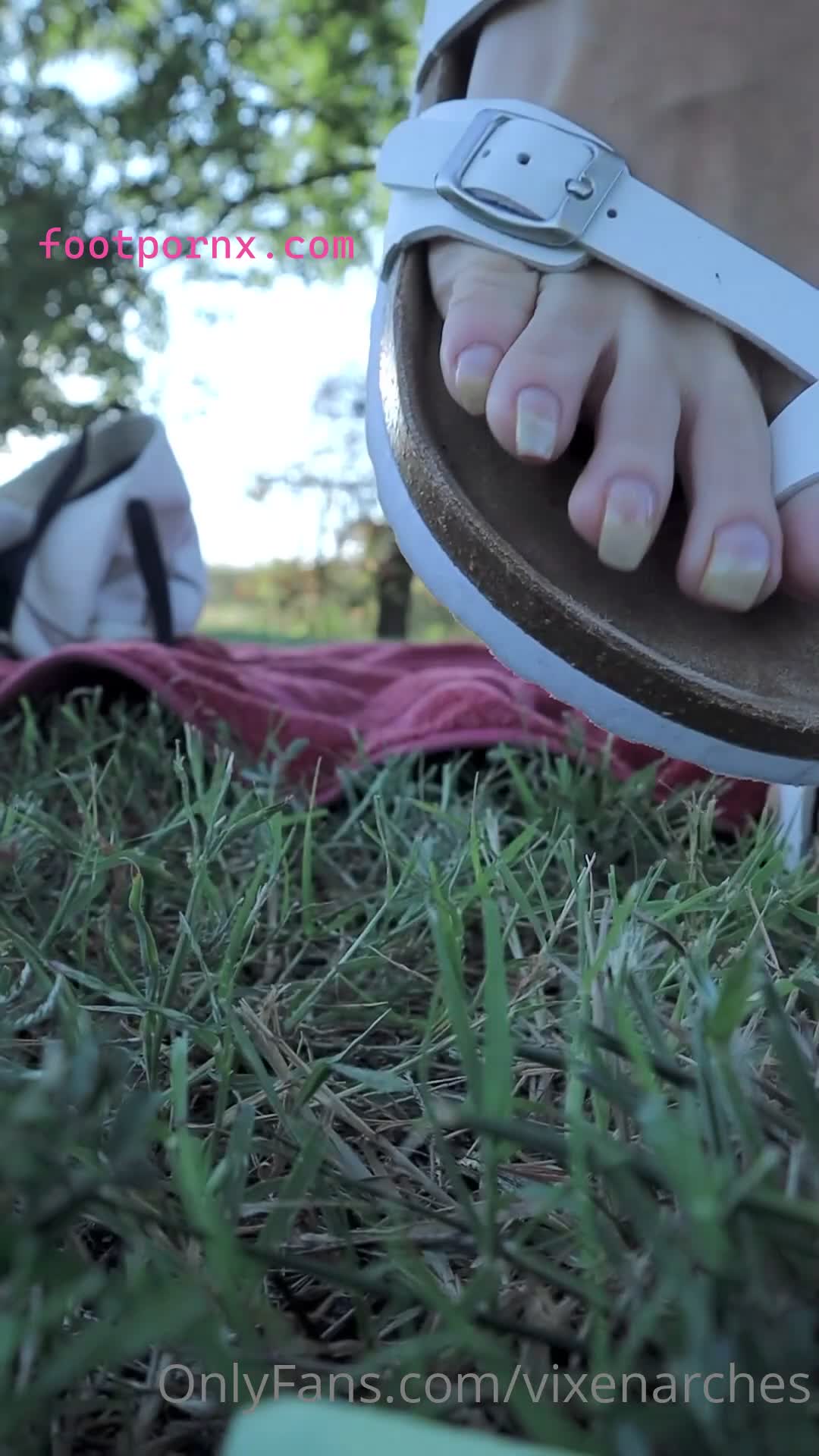 vixenarches hot foot queen [RETIRED] 172