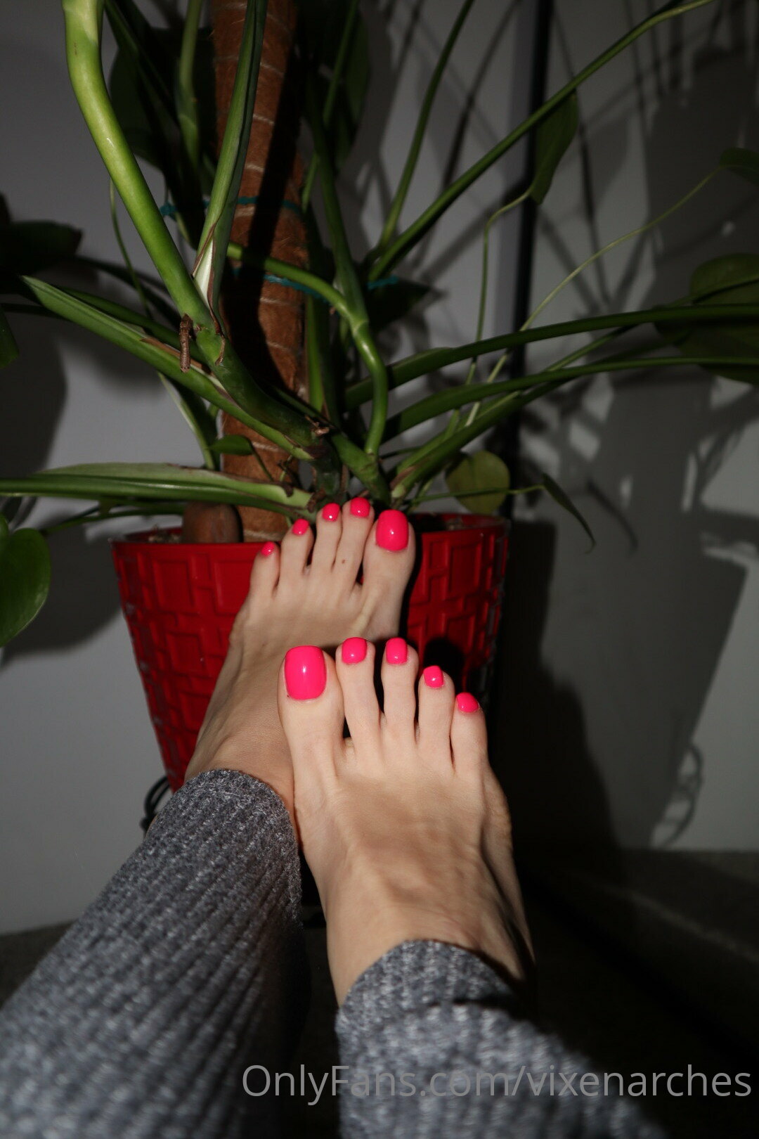 vixenarches feet