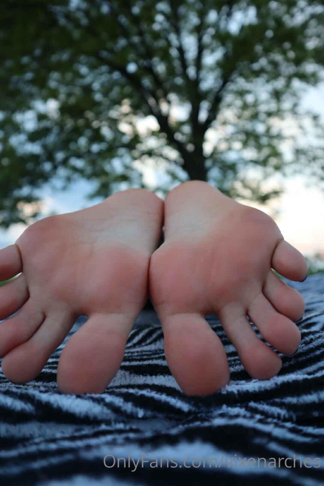 vixenarches feet