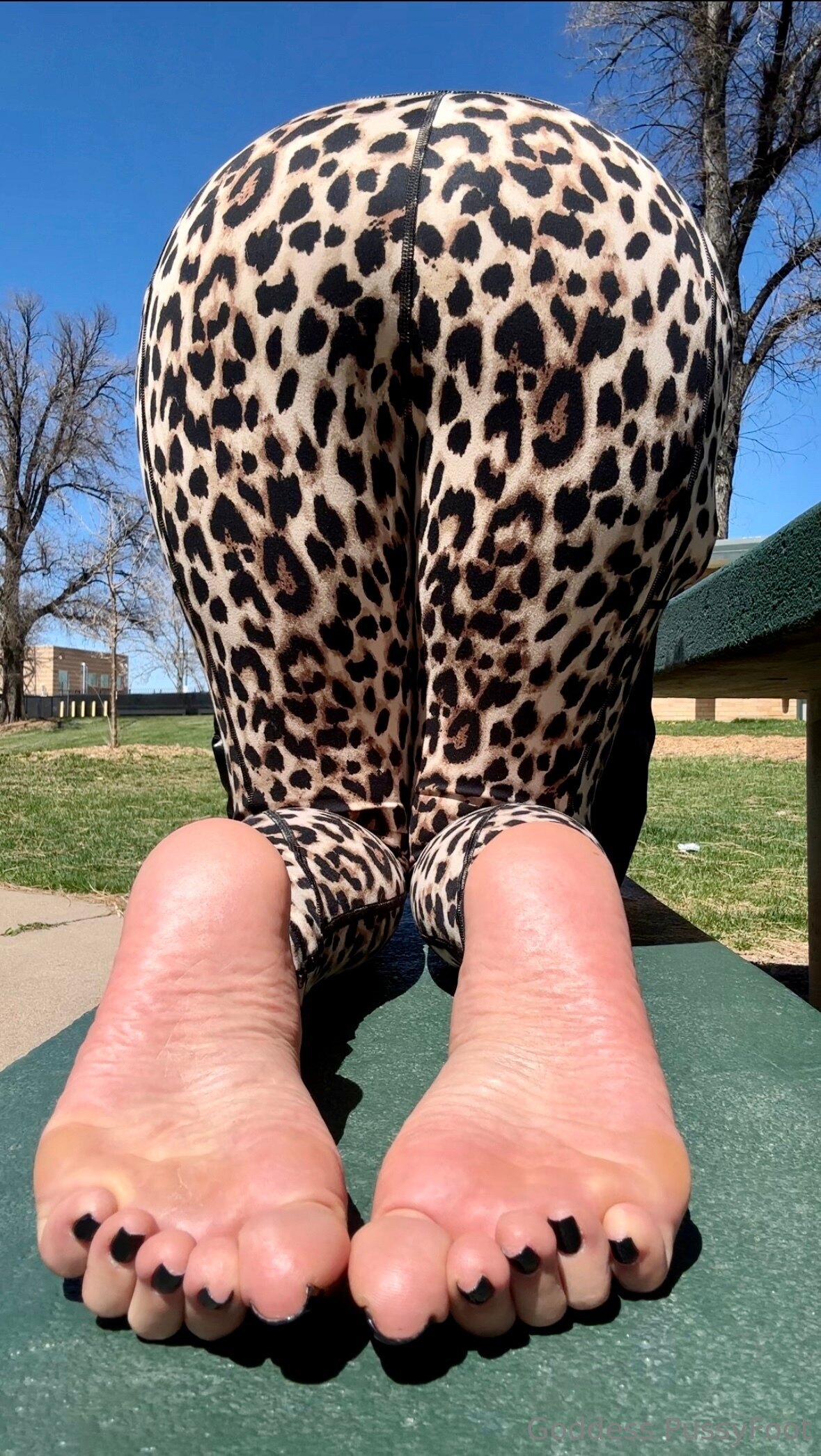 pussyfoot feet