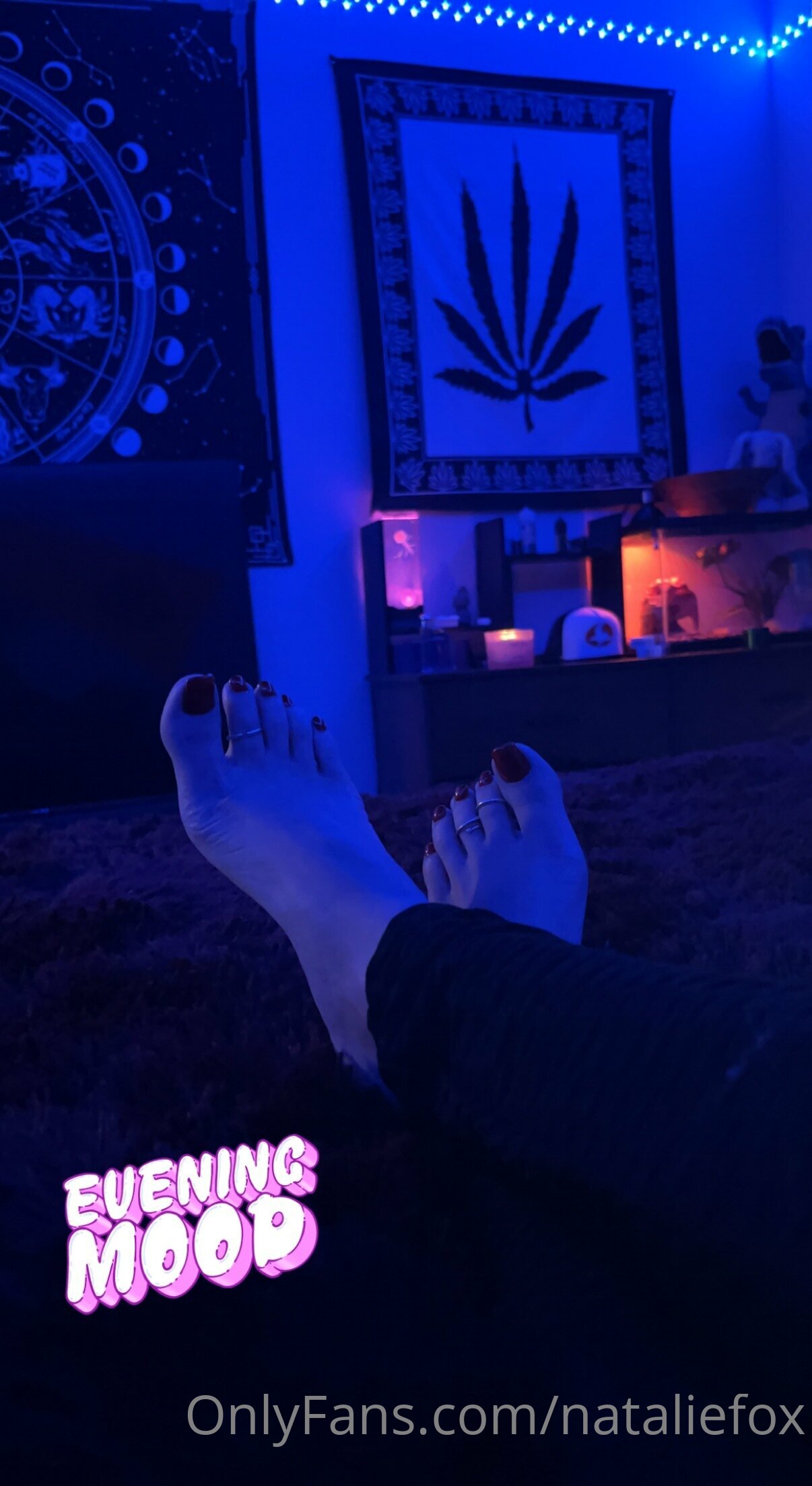 nataliefox feet