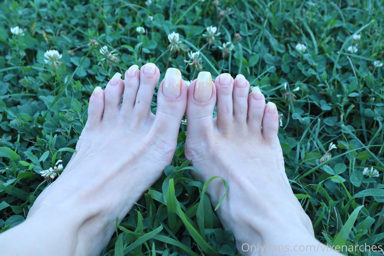 vixenarches feet