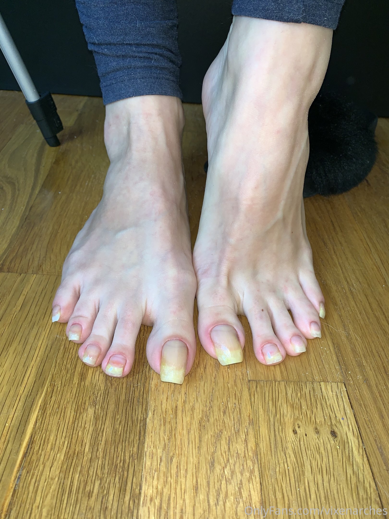 vixenarches feet