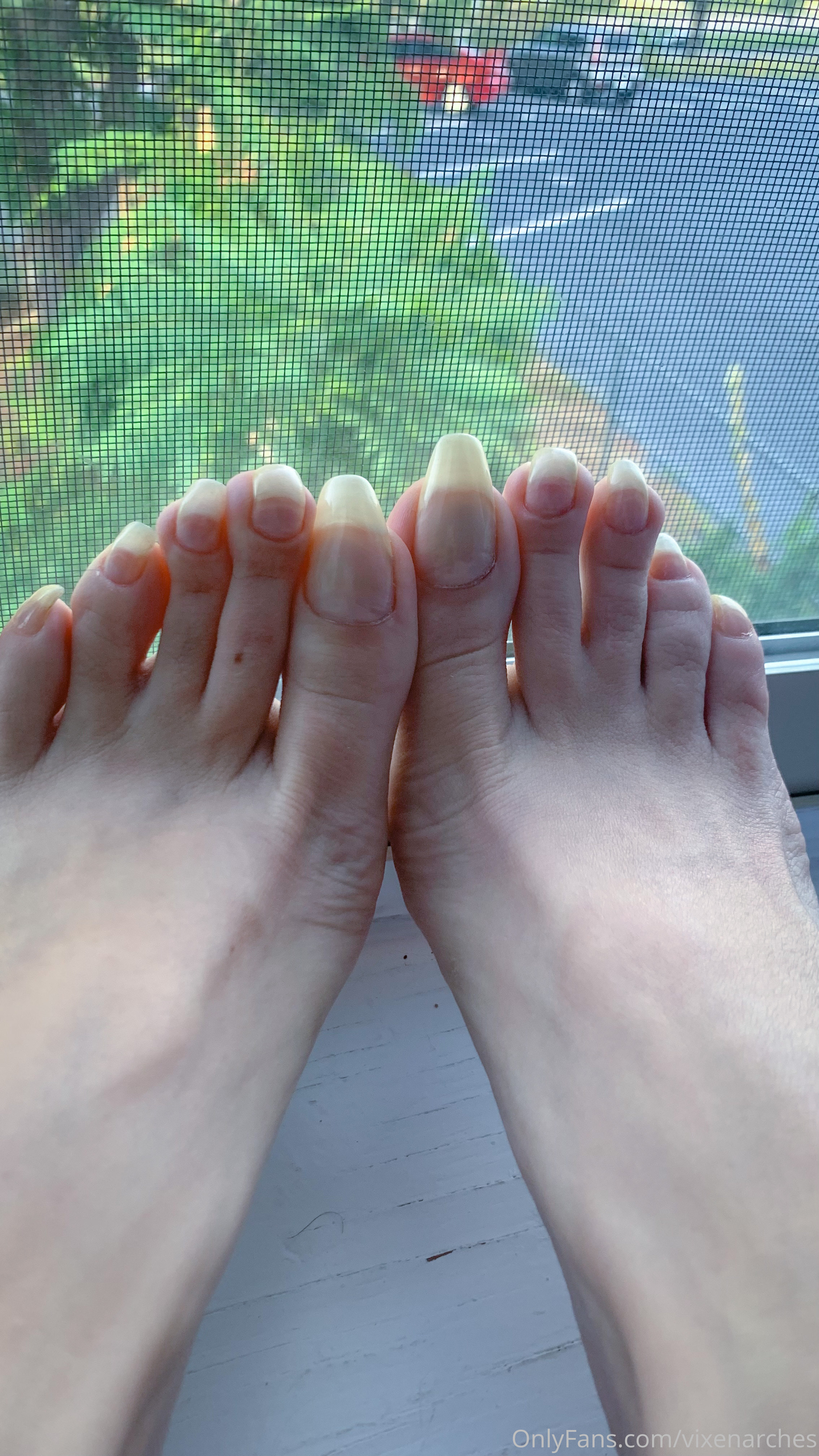 vixenarches feet