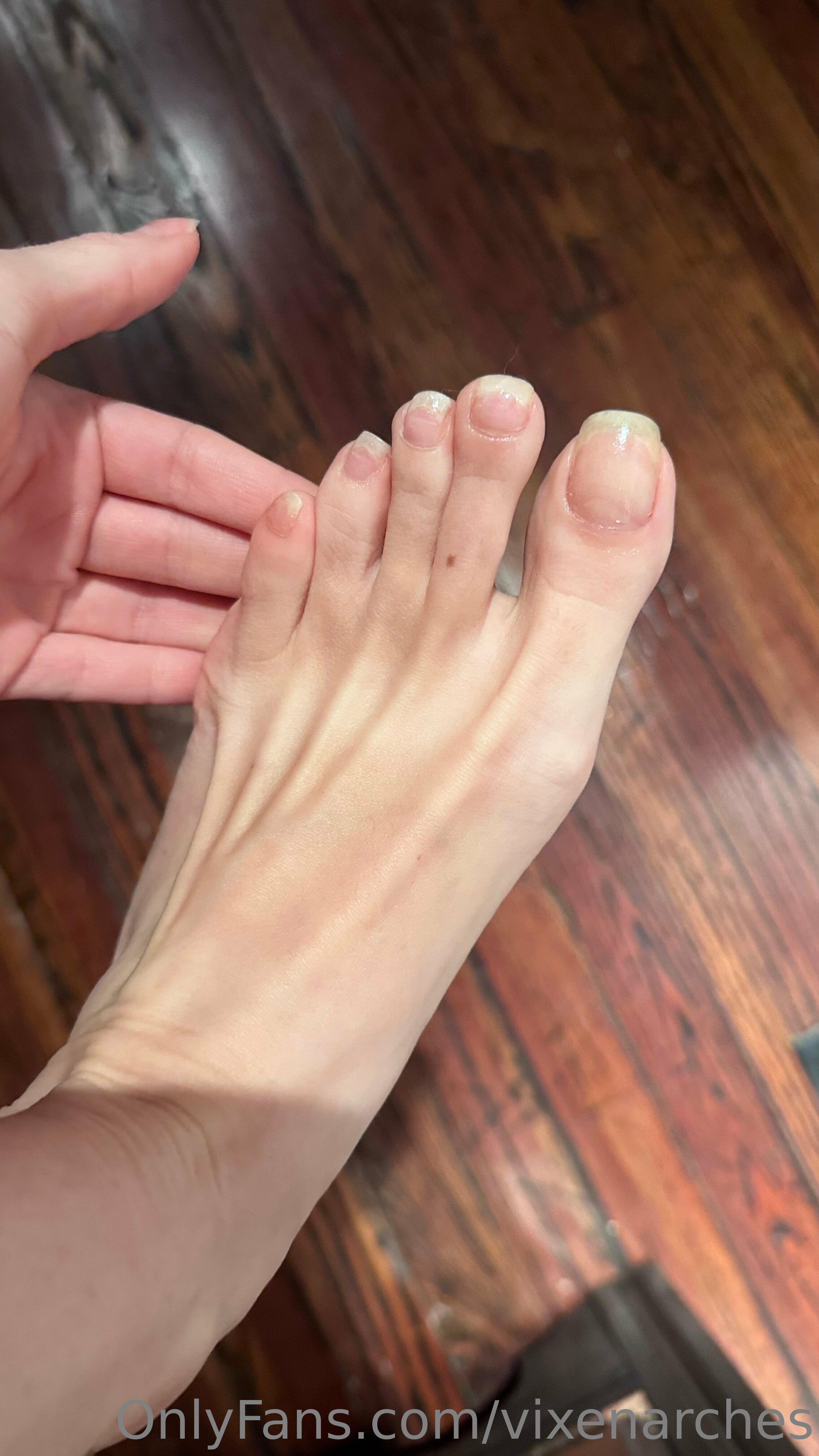 vixenarches feet