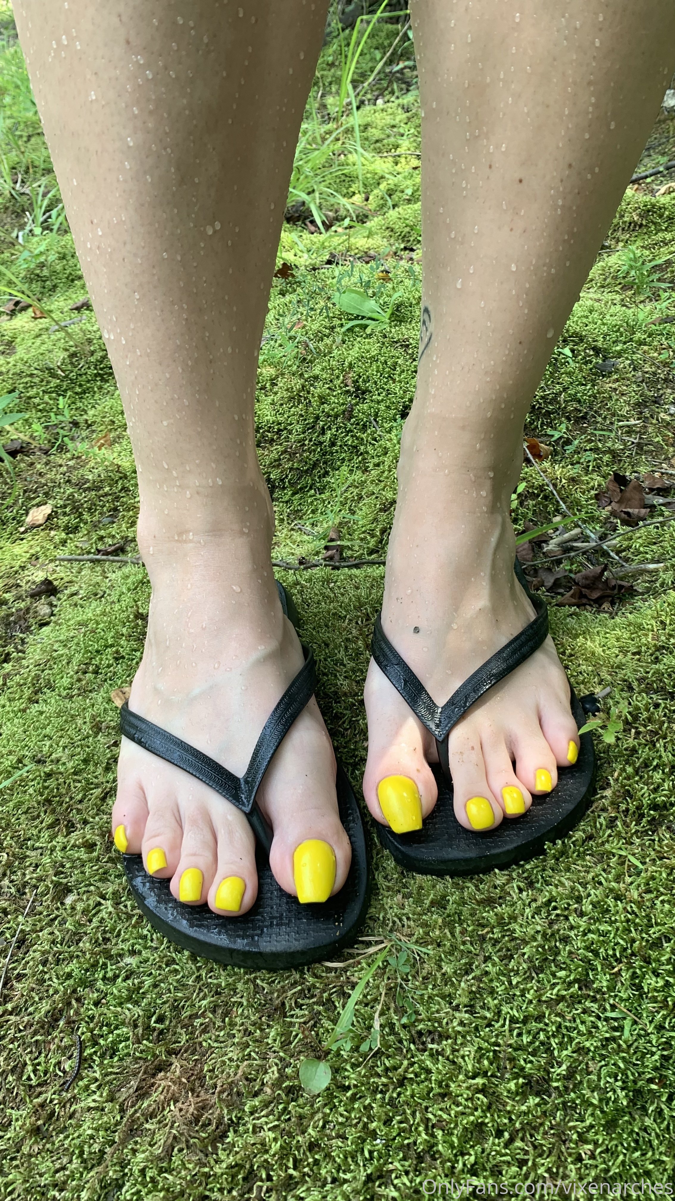 vixenarches feet