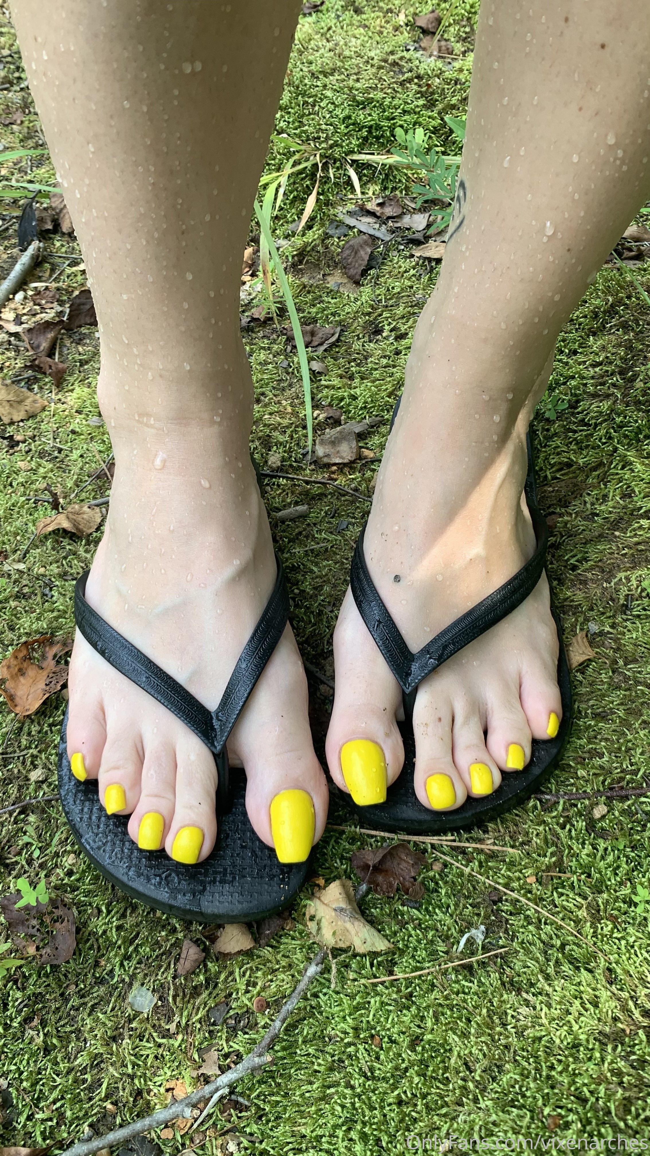 vixenarches feet