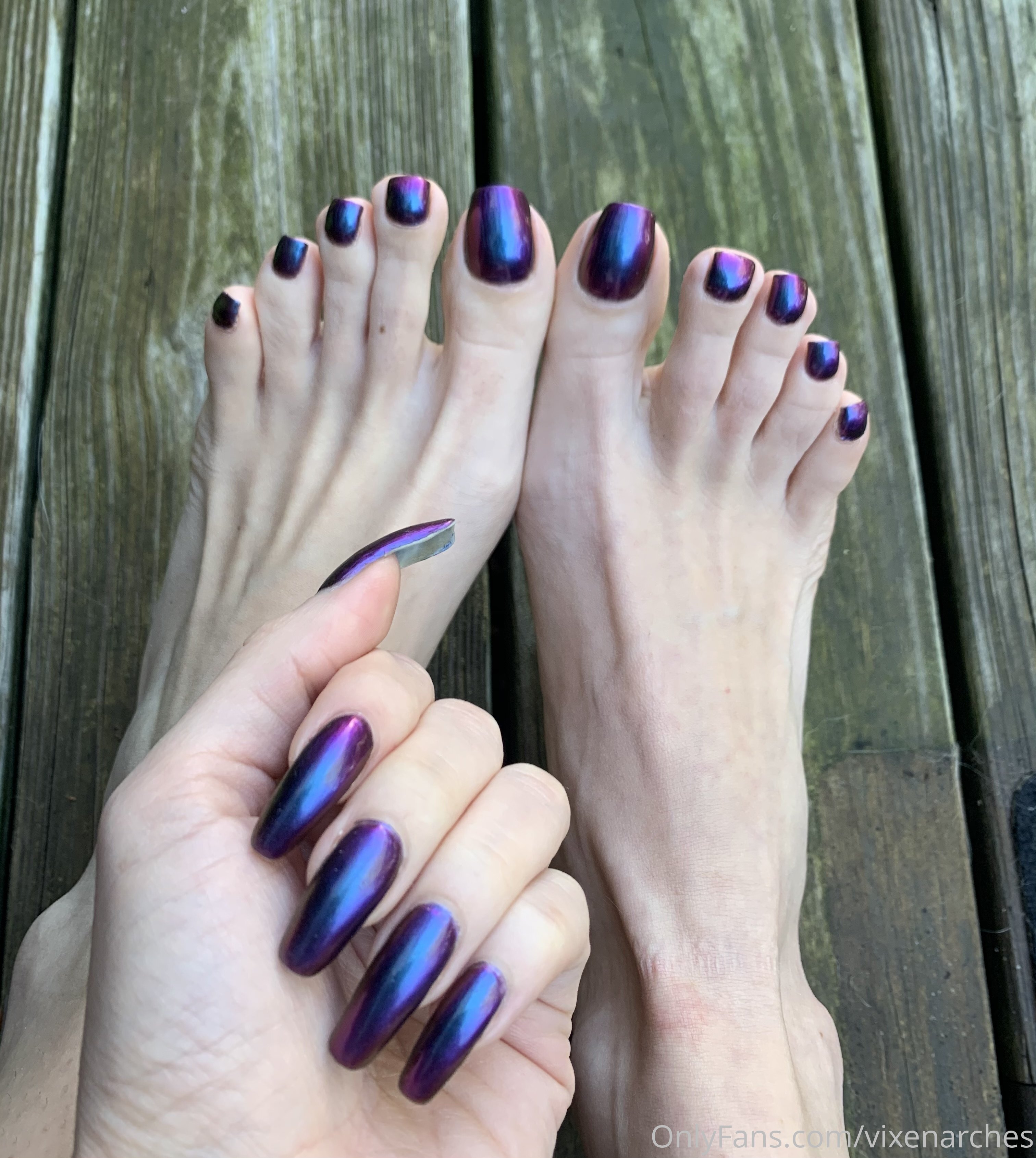 vixenarches feet