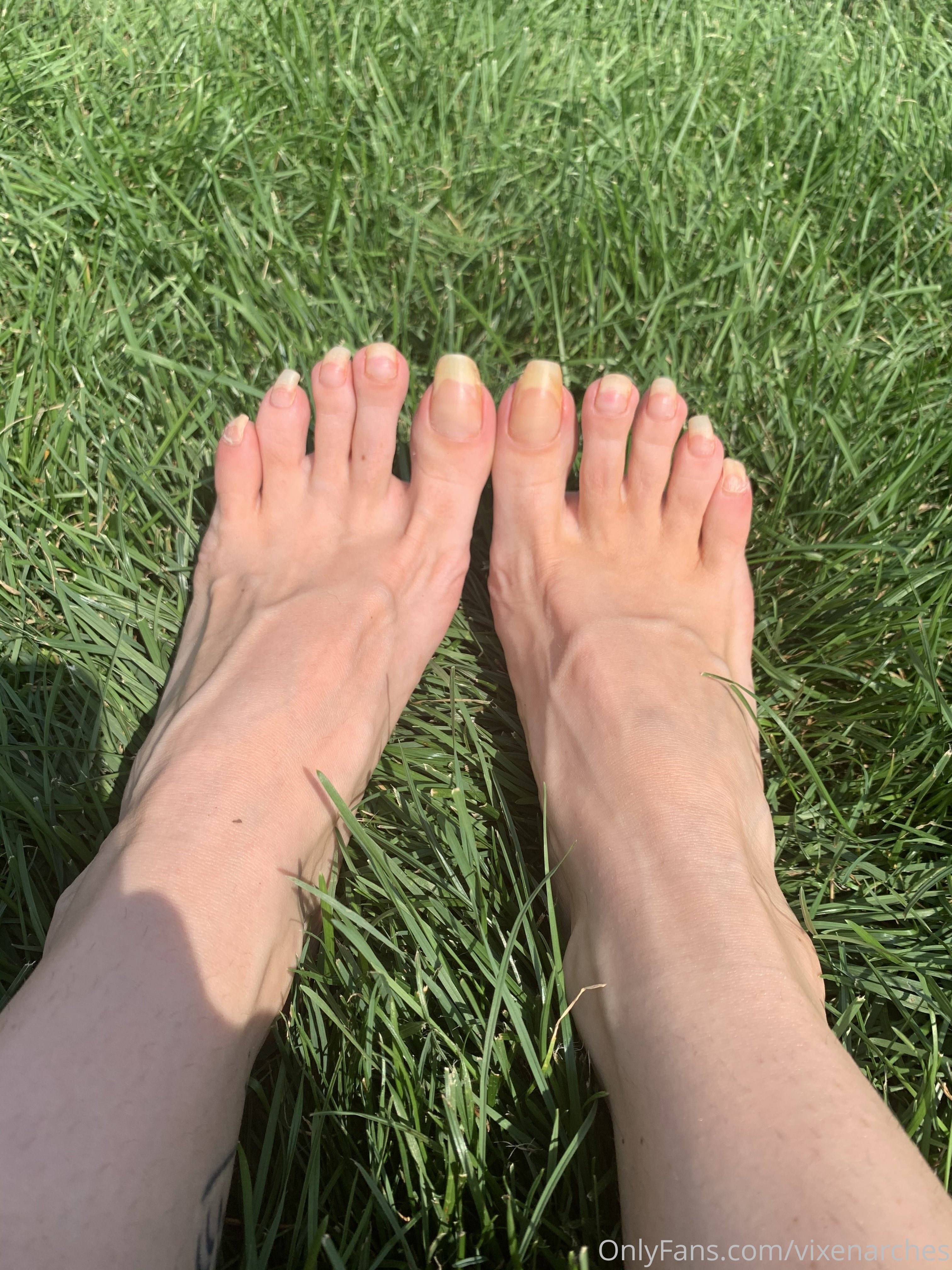 vixenarches feet