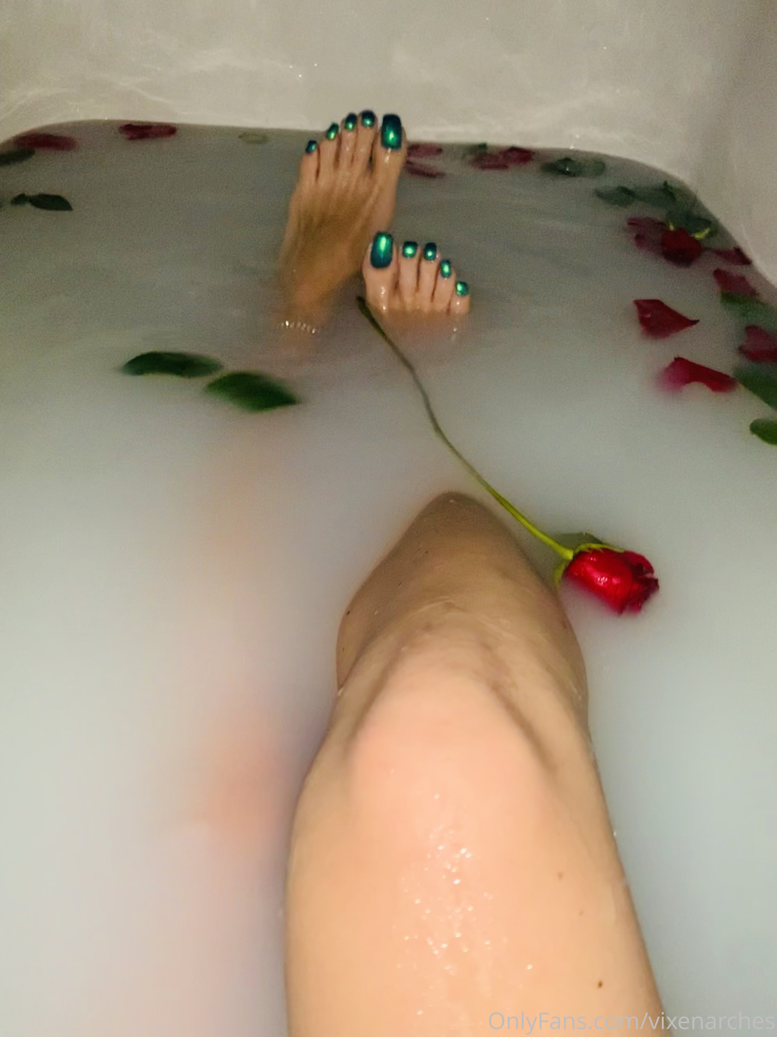 vixenarches feet