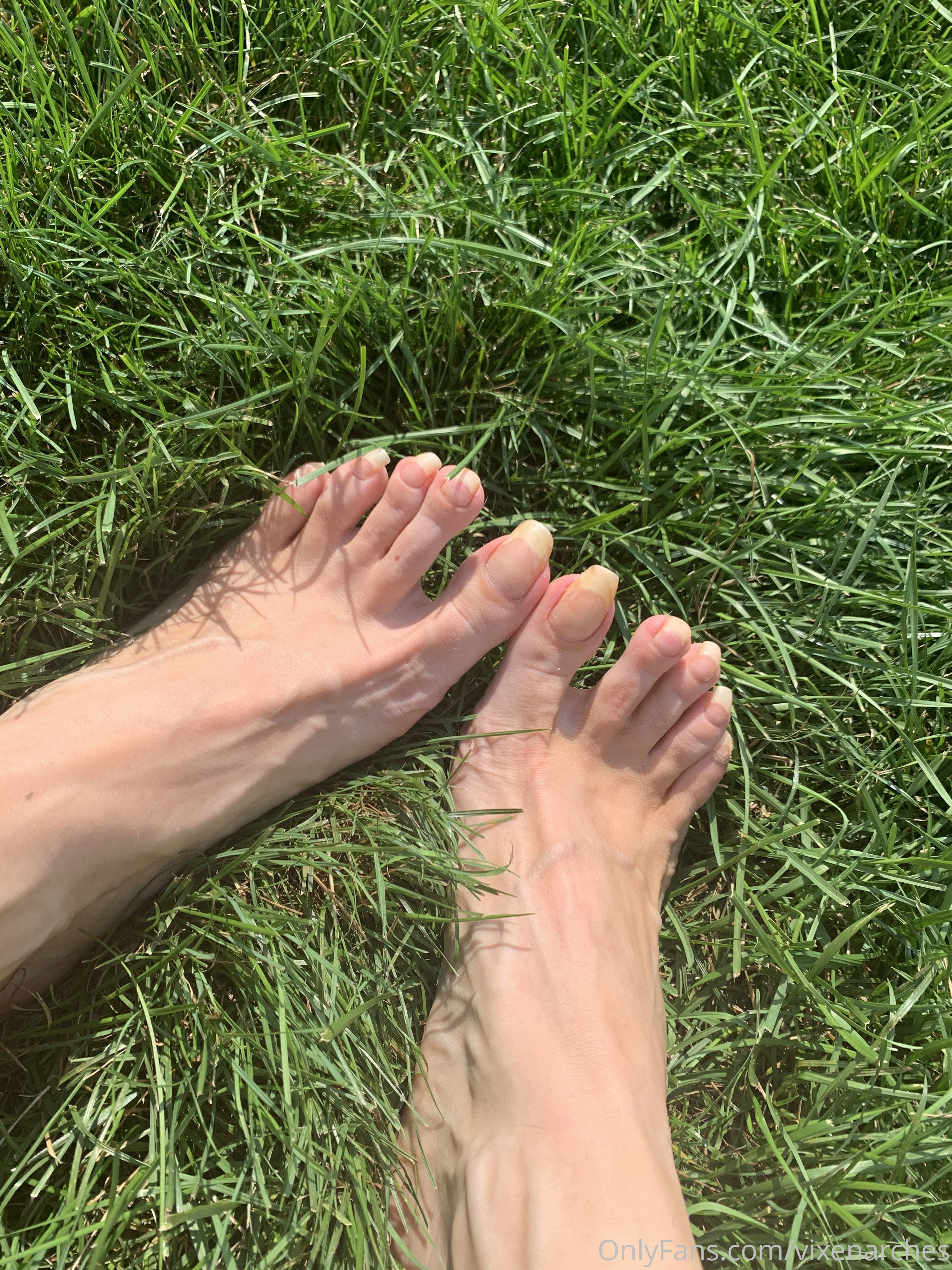 vixenarches feet