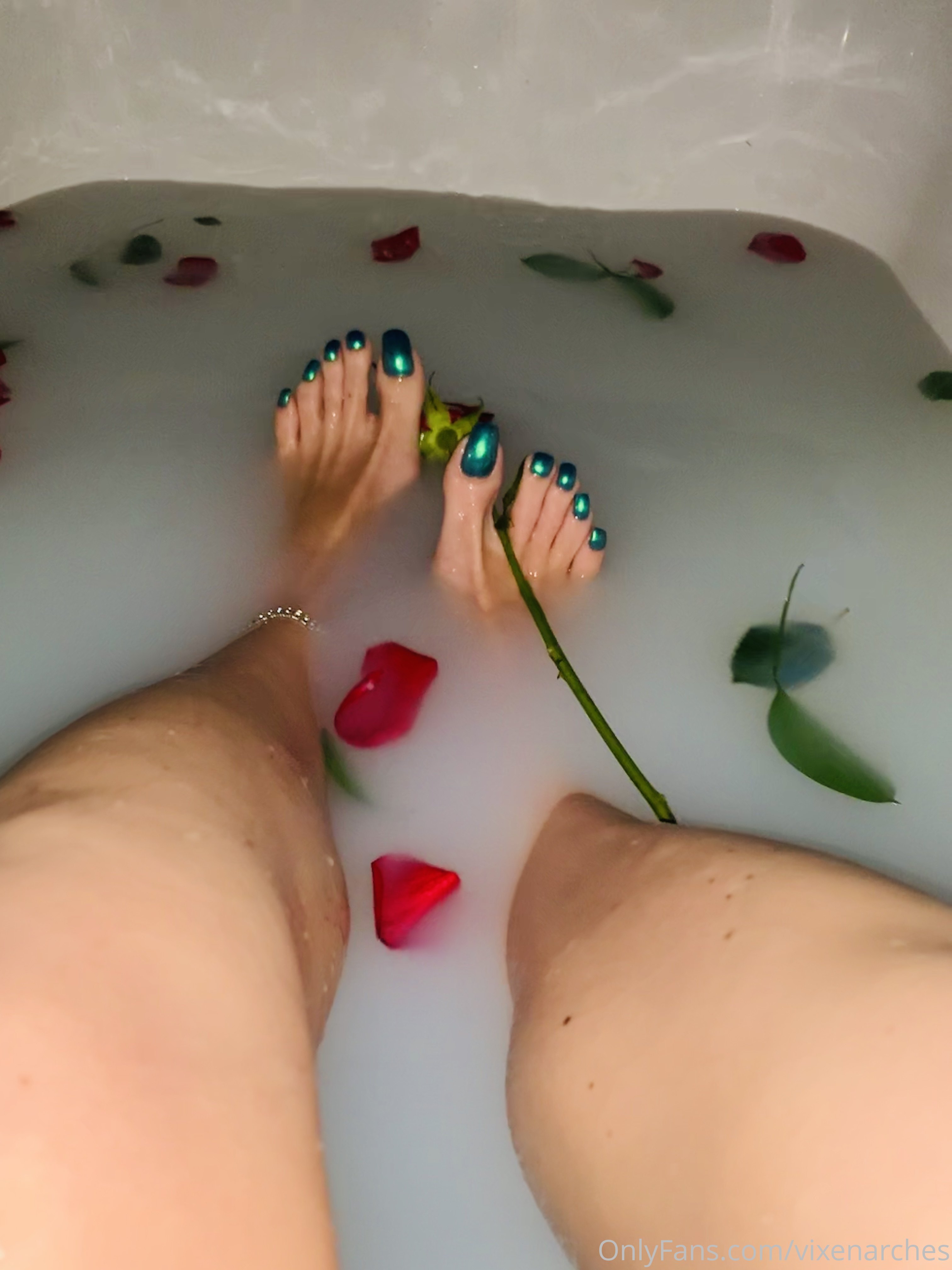 vixenarches feet