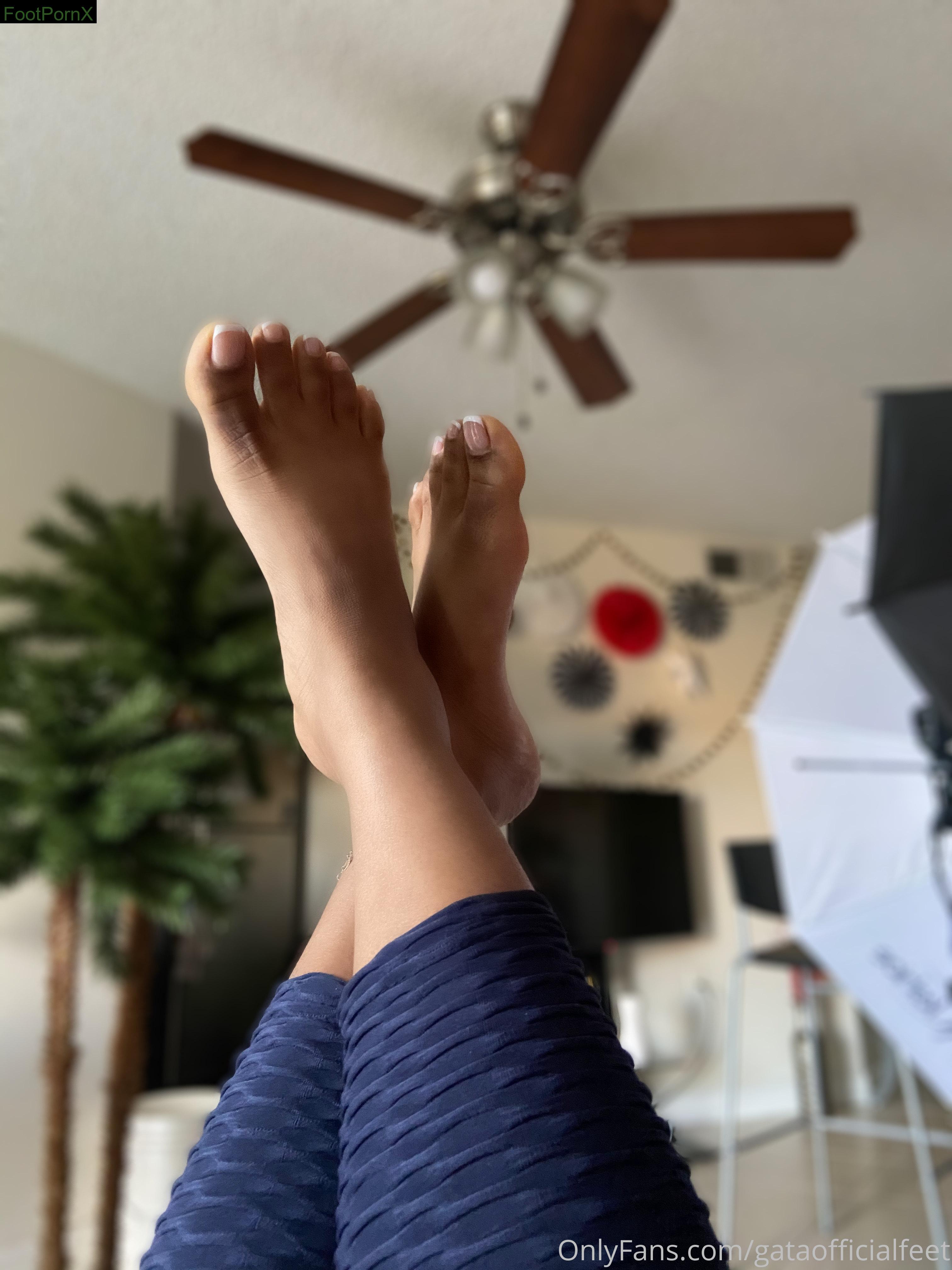 gataofficialfeet feet