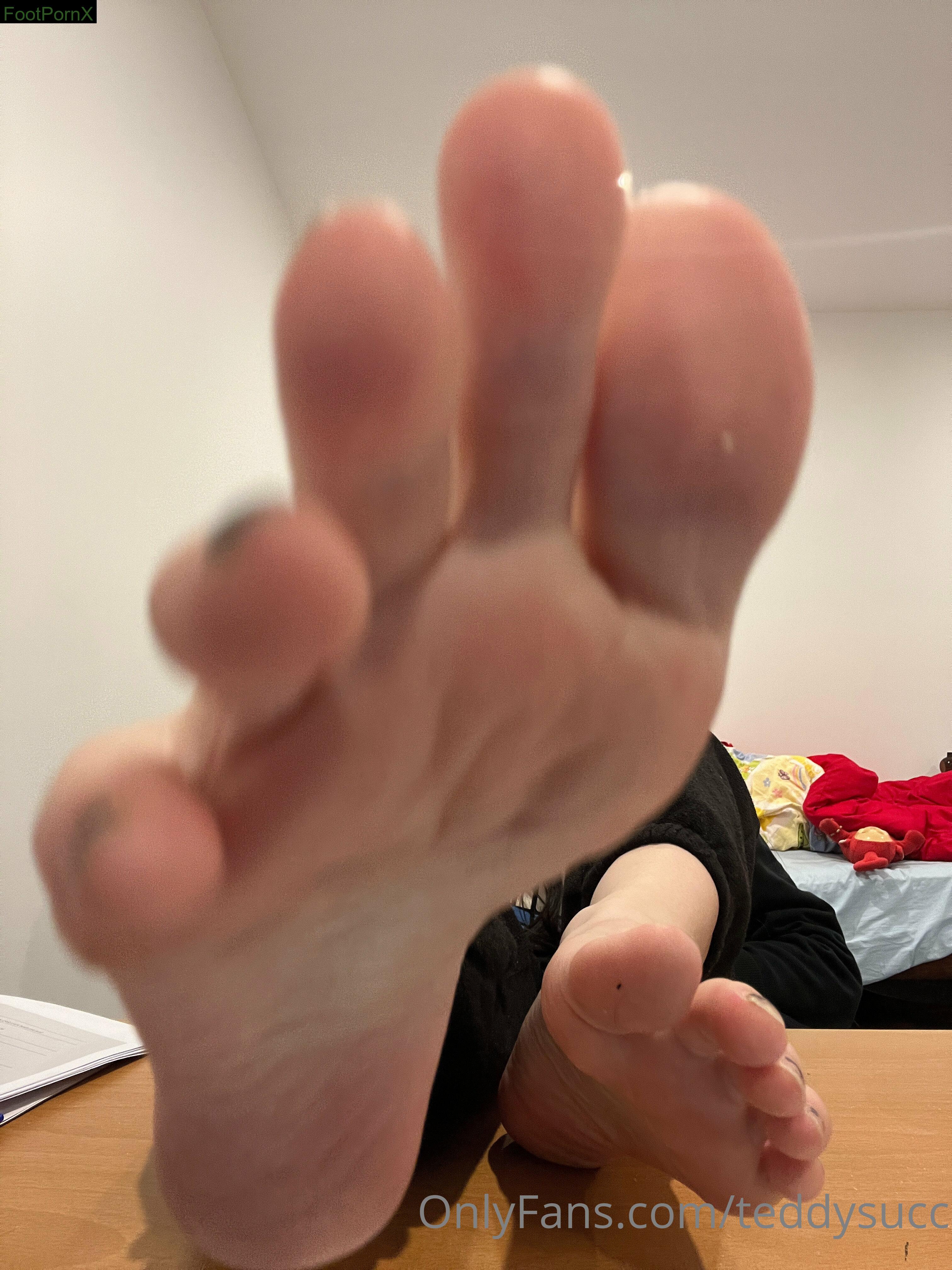 teddysucc feet