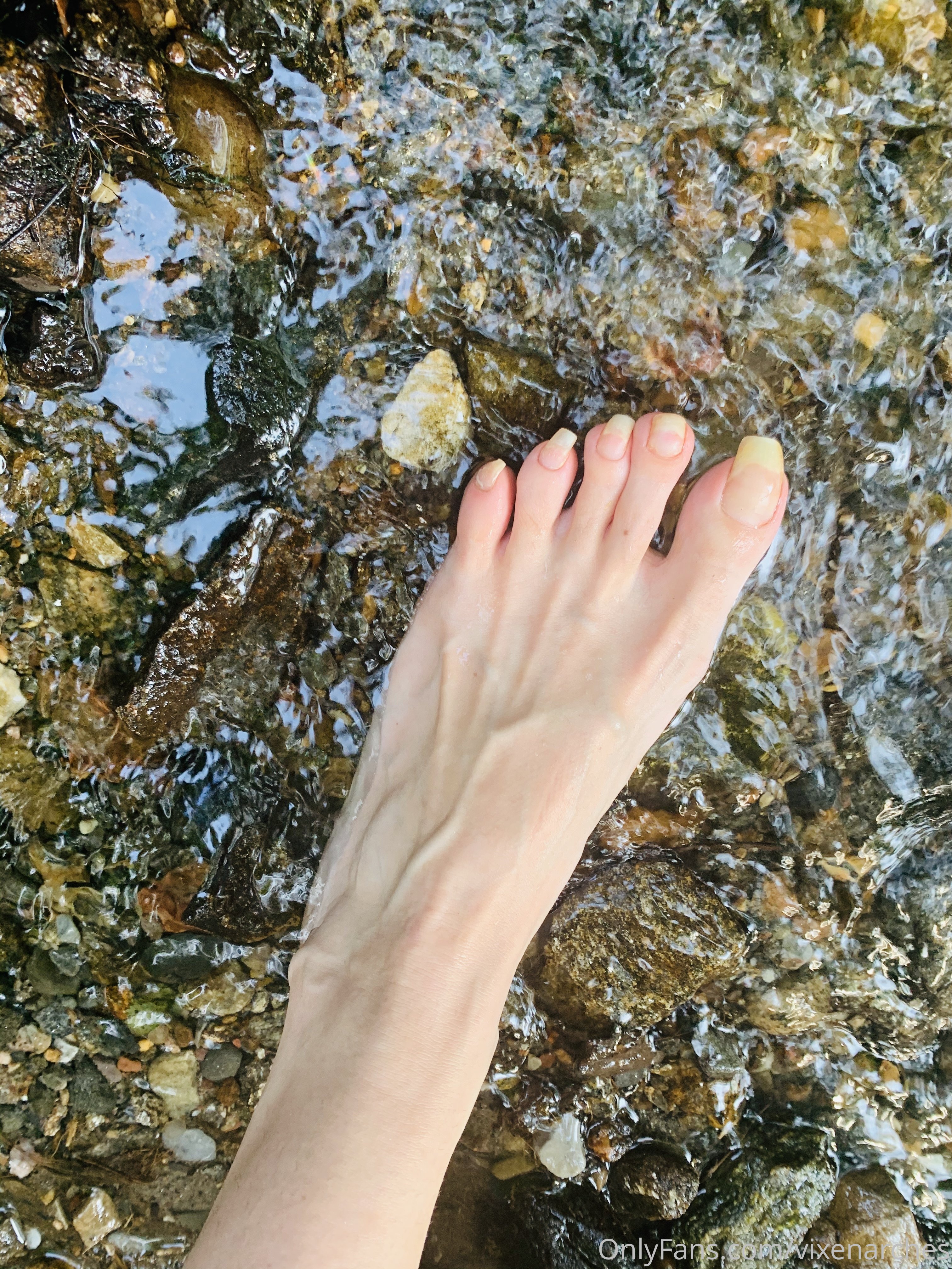 vixenarches feet