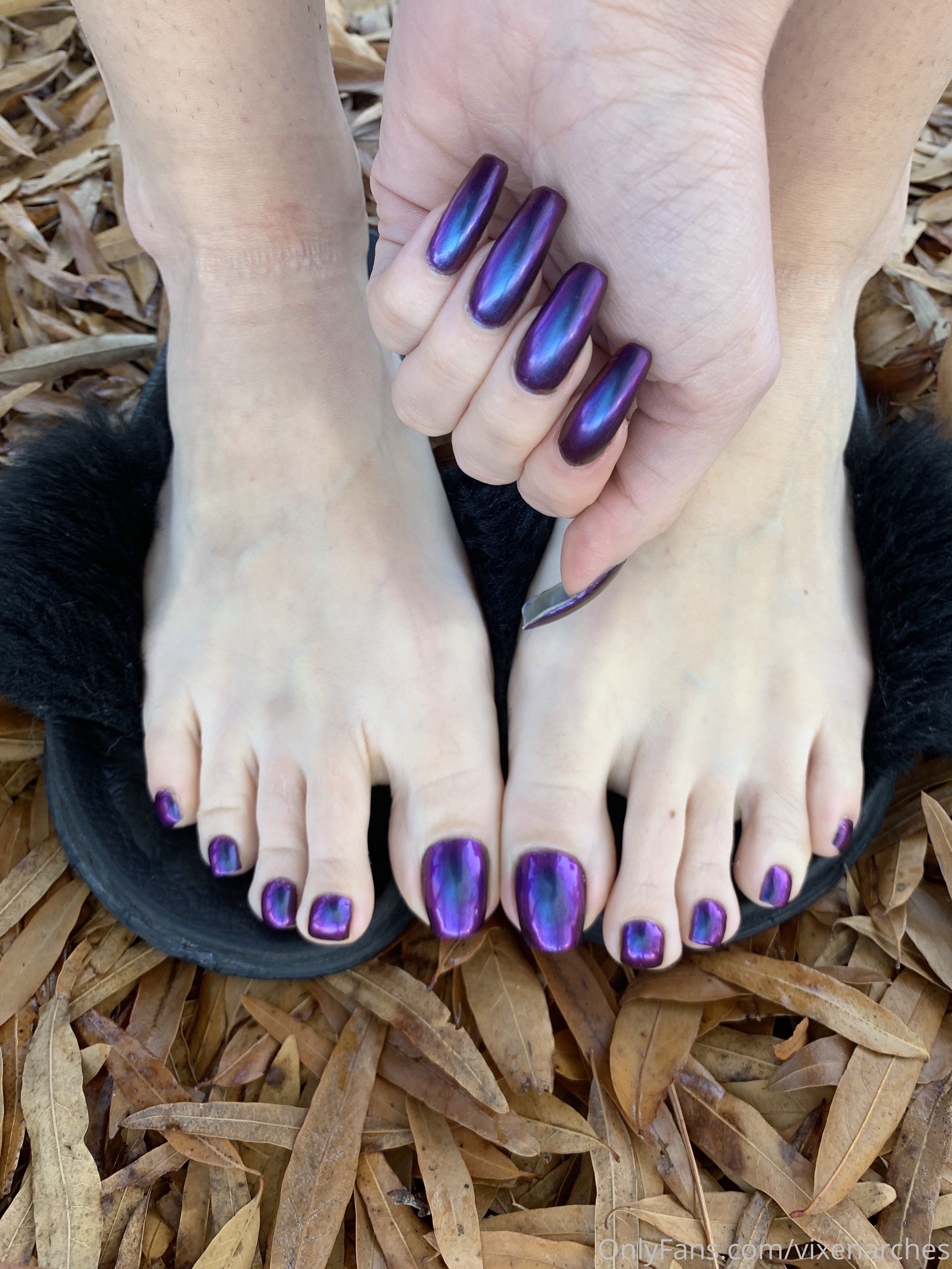 vixenarches feet