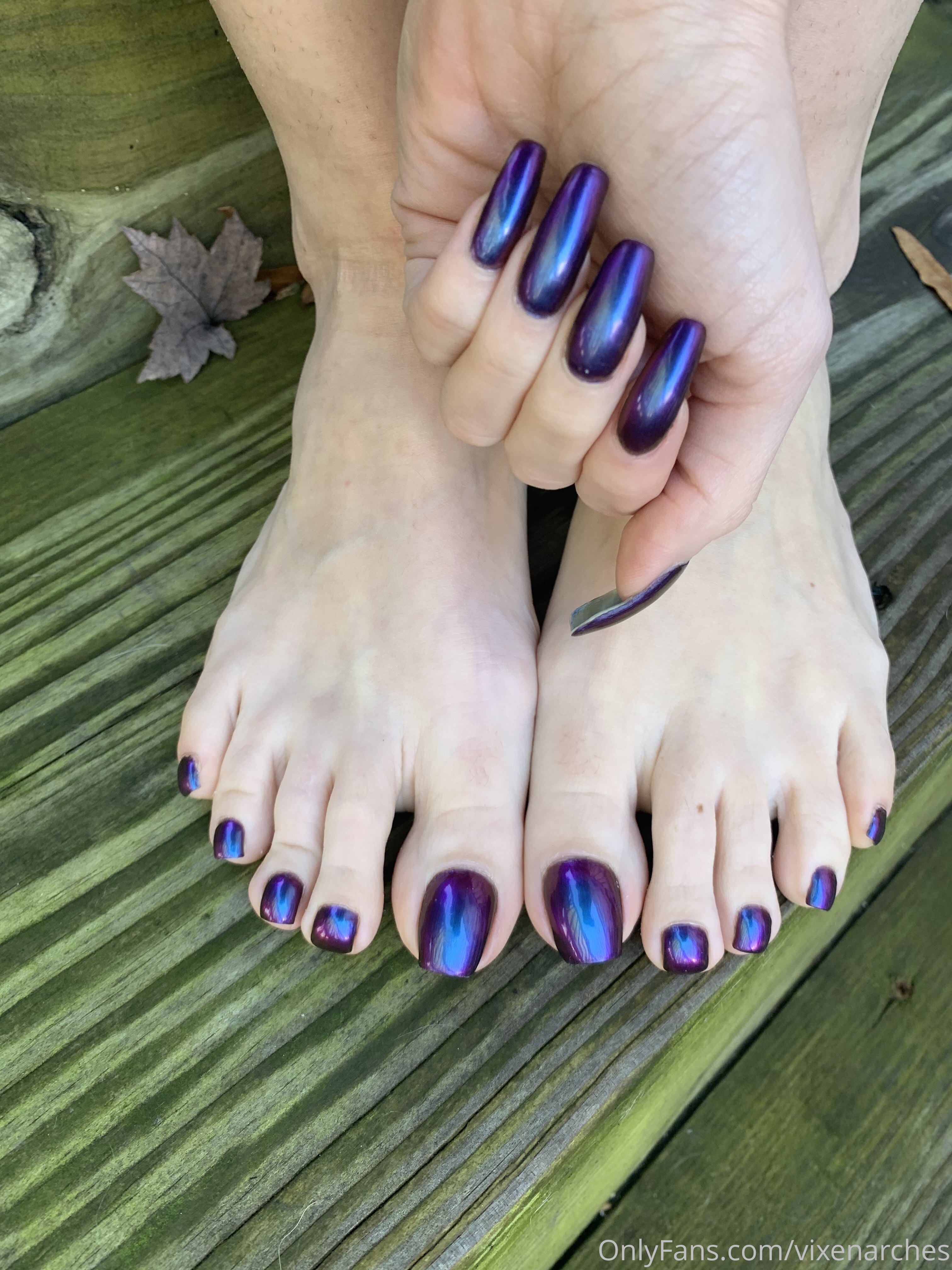 vixenarches feet