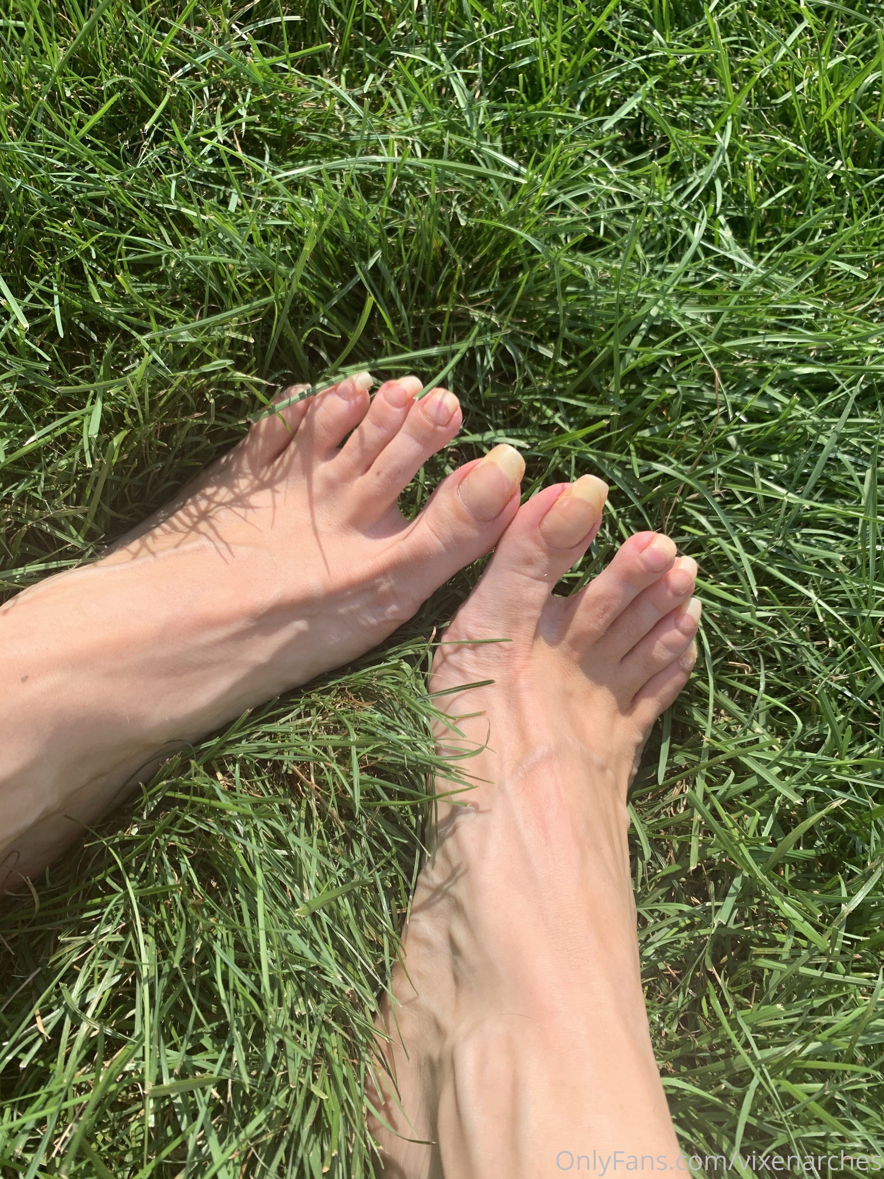 vixenarches feet