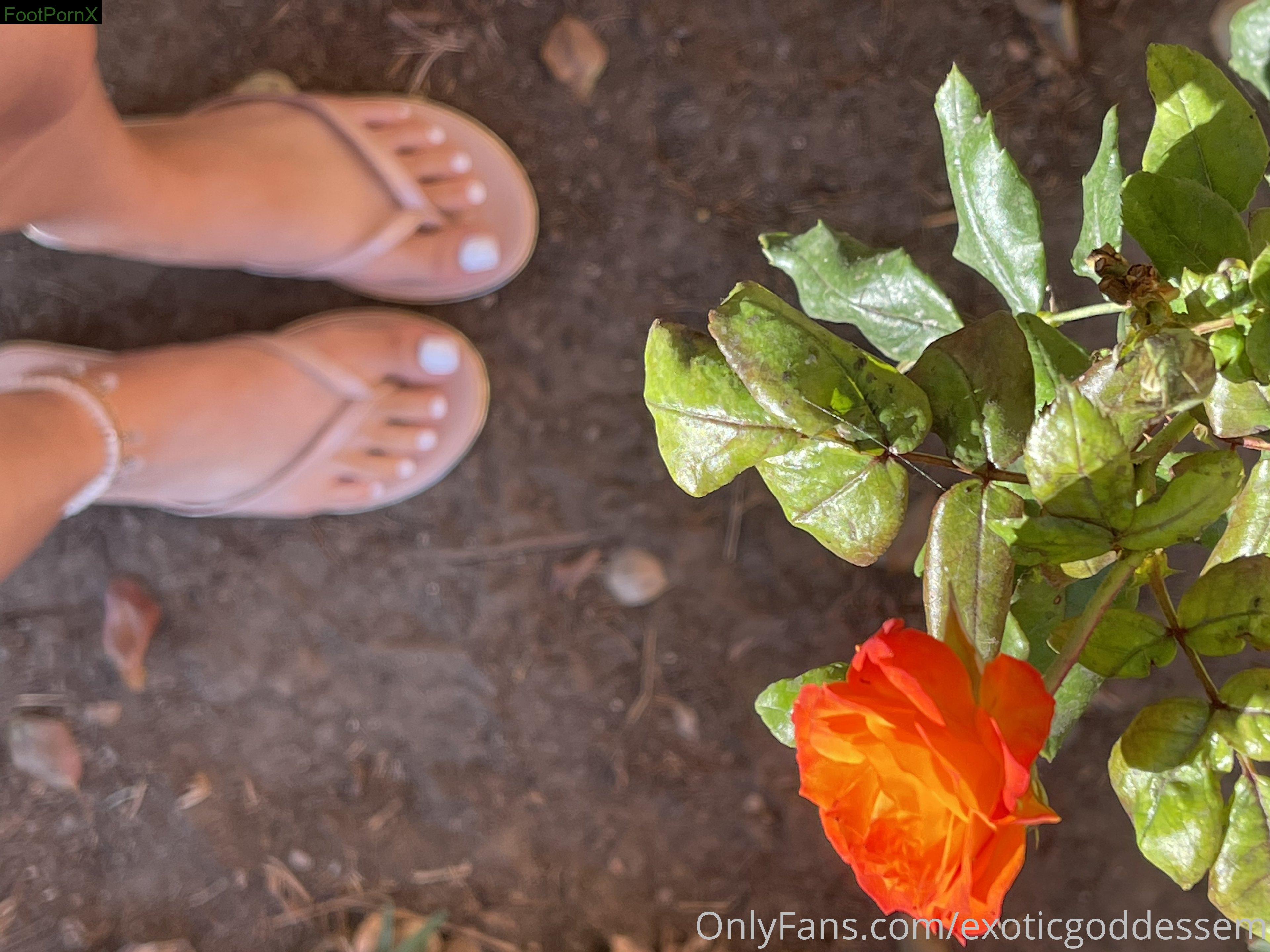 exoticgoddessem feet