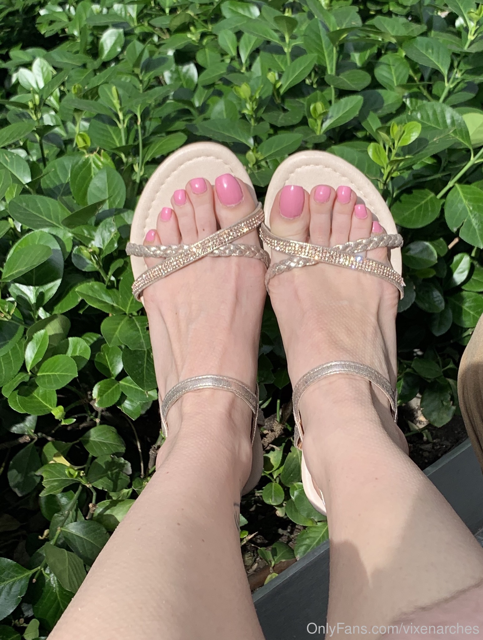 vixenarches feet