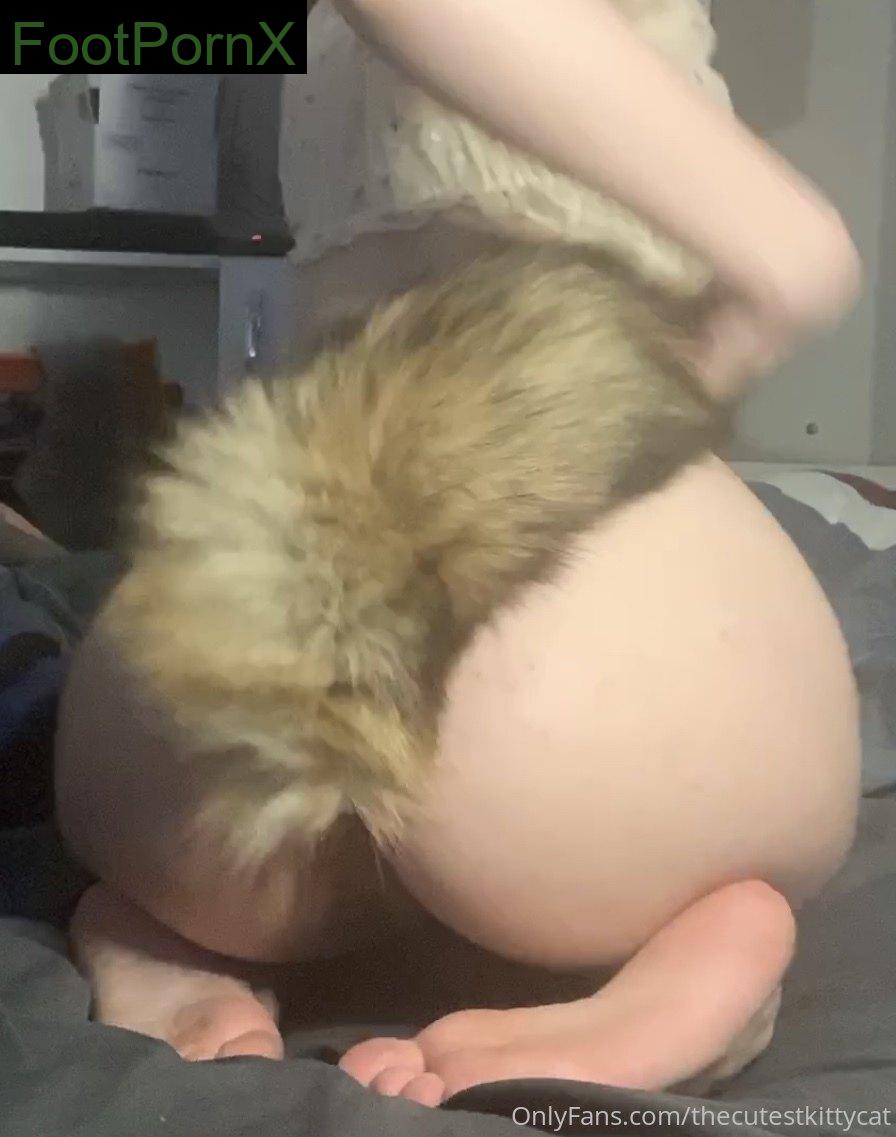 thecutestkittycat feet